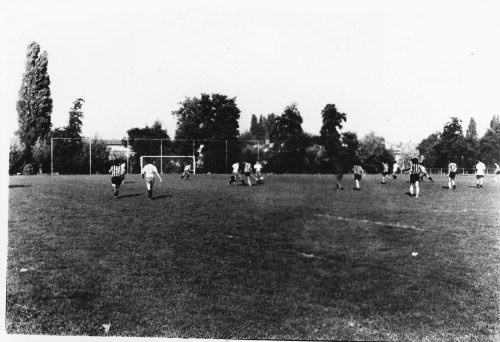 032-HTIB-Sport-1983 1984-scaled